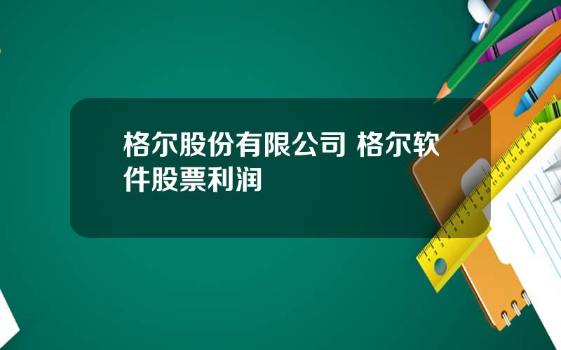格尔股份有限公司 格尔软件股票利润